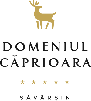 logo main