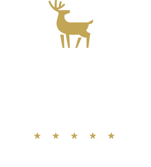 logo light