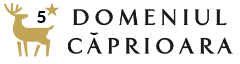 logo main